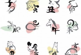 九月生肖鸡的运势解析｜生肖鸡｜运势｜节气