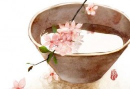 免费小说毒妃心术：强上摄政王全章节完整版