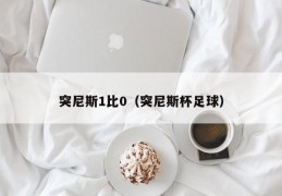 突尼斯1比0（突尼斯杯足球）