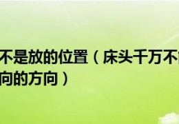 [家里进壁虎来财怎么办]床头朝的方向是不是放的位置（床头千万不能朝向那个方向床头千万不能朝向的方向）
