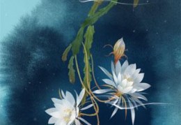 公主，太子又来碰瓷了在线免费读