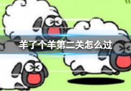 [羊了羊第二关怎么通关]《羊了个羊》第二关怎么过第二关通关攻略截图实用技巧