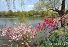 [丰台区露营地点]北京最全露营地