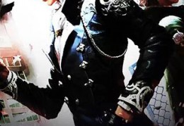 小说林家家主林耀收养的义子什么时候更新