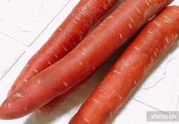 [什么放冰箱时间久点好]什么蔬菜放冰箱时间长