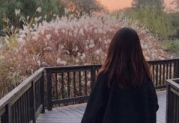 免费小说绿茶们每天扒我马甲在线阅读