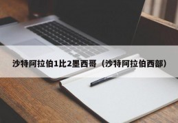 沙特阿拉伯1比2墨西哥（沙特阿拉伯西部）