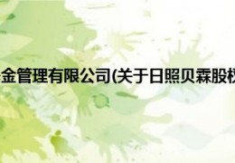 [魔方扭不好怎么办视频]日照贝霖股权投资基金管理有限公司(关于日照贝霖股权投资基金管理有限公司的简介)