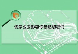 该怎么去形容你最贴切歌词，原唱蔡健雅(歌名红色高跟鞋)