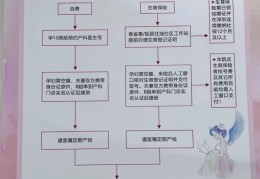 [现代妇幼产检医生怎么样]想在深圳生孩子，医院怎么选？