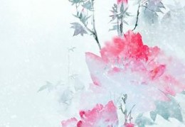 不忘流年愿相思最新章节-不忘流年愿相思欲小生全本免费阅读