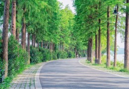 [骑自行车游玩的地方]武汉骑行路线推荐11个骑行绿道