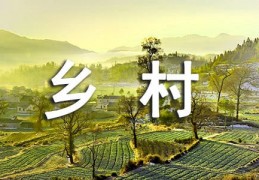 [六十年代人力割水稻]乡村生活割水稻作文600字