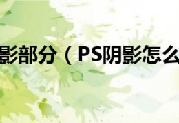 [家里进壁虎来财怎么办]ps怎么画阴影部分（PS阴影怎么画PS物体阴影画法）