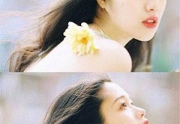 免费的小说神医丑妃（神医丑妃）