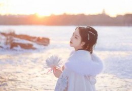 无敌赘婿结局是什么-青门引写的最新小说
