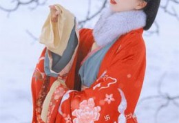 免费小说他恨这个弃妃十年之后她死后才知道真相全文免费试读