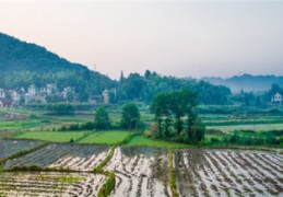 [宅基地使用权是集体的还是个人的]宅基地是拥有土地使用权还是土地所有权