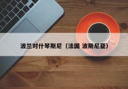 波兰对什琴斯尼（法国 波斯尼亚）