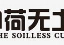 [无土栽培草莓技术视频]理论到实践：无土栽培高架草莓模式分析与现场讲解