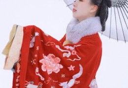 龙魂天帝by疯狂的马大锅在线免费阅读