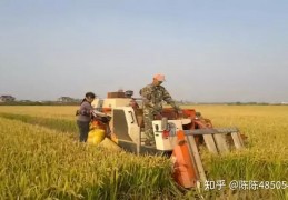 [如何挣农村老年的钱视频]未来5年，在农村最赚钱的20种工作！