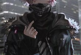 无罪写的小说（一品医婿（叶天））