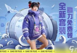 和平精英衣服加意思介绍