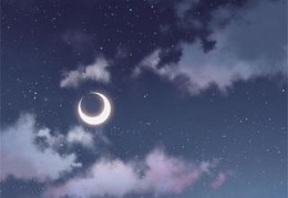 第一章婚礼风波第二章天大的误会第五章大出血在线免费读