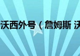 [1960年洛杉矶湖人多少岁]詹姆斯沃西外号（詹姆斯沃西）