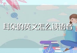 [耳朵的英语怎么说语音]耳朵的英文怎么读语音（耳朵的英文读音）