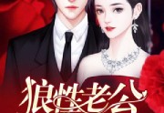 狼性老公不靠谱免费阅读全集-韩锦程乔安宁完整未删减版阅读