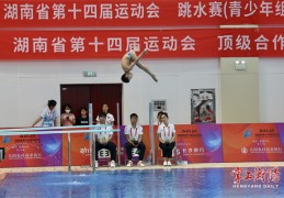 [常德游泳金牌]为打造体育强市书写精彩！衡阳代表团省运会载誉而归