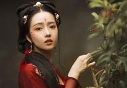 休书一封最新章节列表