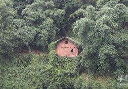 农村宅基地审批几年有效