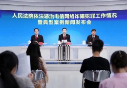 最高法发布人民法院依法惩治电信网络诈骗犯罪工作情况暨典型案例