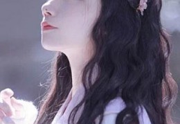 盛柒柒，没有人会爱你完整未删减版-盛柒柒，没有人会爱你完本免费阅读