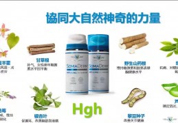HGH 新生命凝胶都含有什么成分？起什么作用？是否安全？有效果吗？