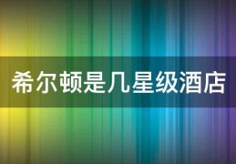 [希尔顿著名酒店]希尔顿是几星级酒店