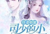 小说司炫泽&amp;nbsp;康琪在线阅读（佳妻如蜜：司少的小心肝甜炸了）