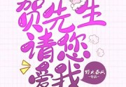 野火春风写的小说-贺先生，请您爱我全章节免费