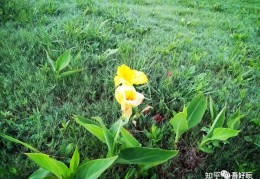 [乐呵乐呵]乐呵｜露营失败经历分享会，你被劝退了吗？