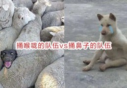 [为什么医院做核酸捅的轻]捅鼻子和捅喉咙究竟有什么区别？核酸为什么不能随测随出？真相竟然是......