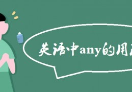 [any表演]英语中any的用法