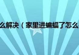 [家里进壁虎来财怎么办]家里进蝙蝠了怎么解决（家里进蝙蝠了怎么办家里进蝙蝠了如何办）