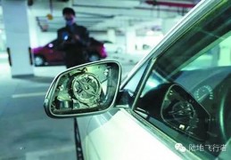 偷车贼专偷宝马后视镜？半小时掰7块一块卖3000