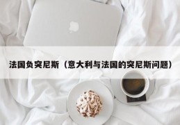 法国负突尼斯（意大利与法国的突尼斯问题）