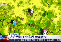 [农村什么工业能带动]我国乡村产业发展稳中向好？农产品加工业发展持续增长