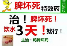 [鸭子死前会动一下吗为什么]鸭子趴着不会动是怎么回事鸭子趴着死是怎么回事鸭子不动了回事鸭子发烧趴着不动治鸭子趴在地上站不起来了鸭子没精神老是卧着