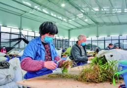 [奋进新征程喜迎新时代]奋进新征程建功新时代·喜迎二十大丨我家门口有工坊